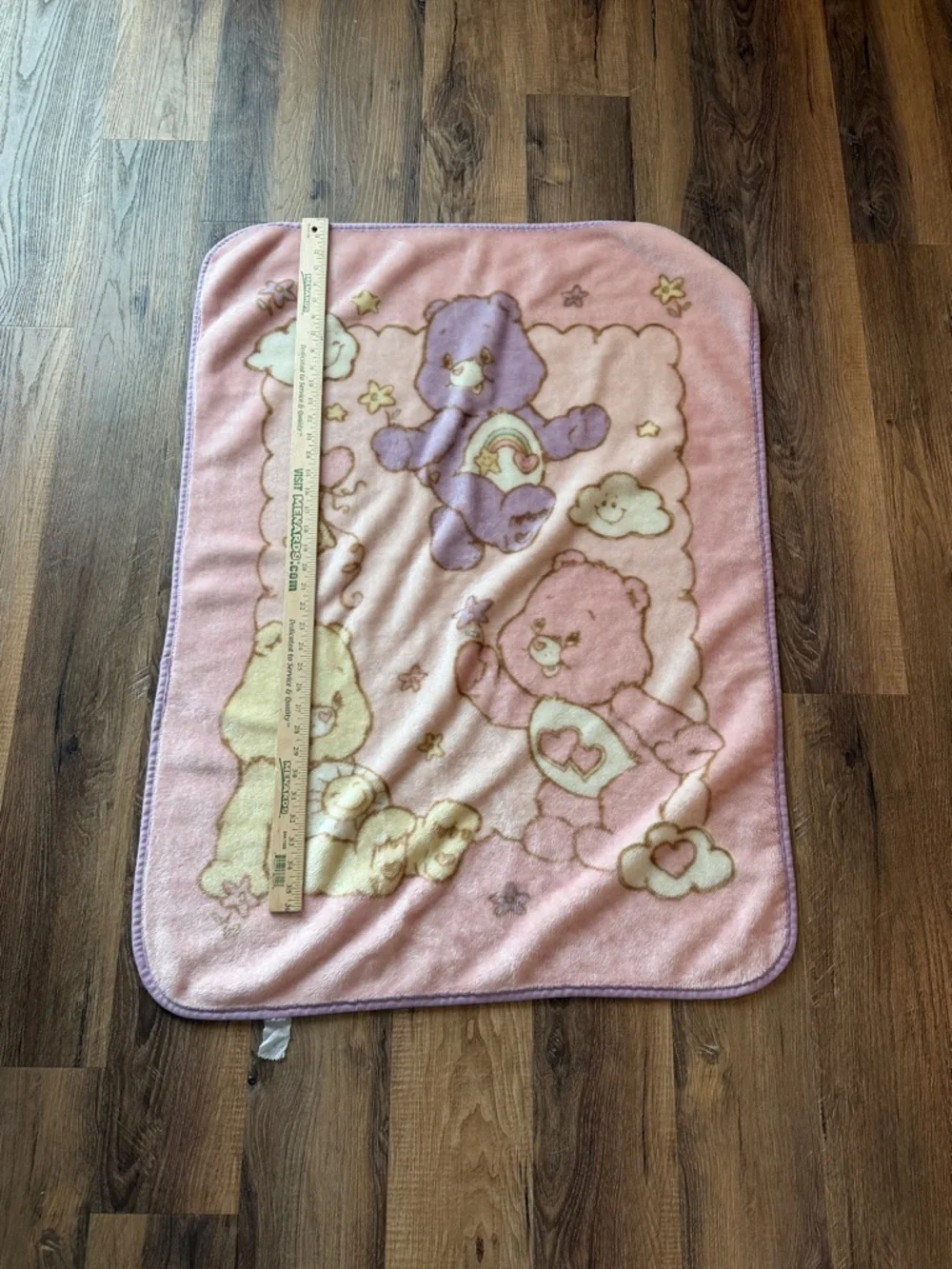 Care Bears Pastel Pink Plush Throw with Multicolor Bears pink